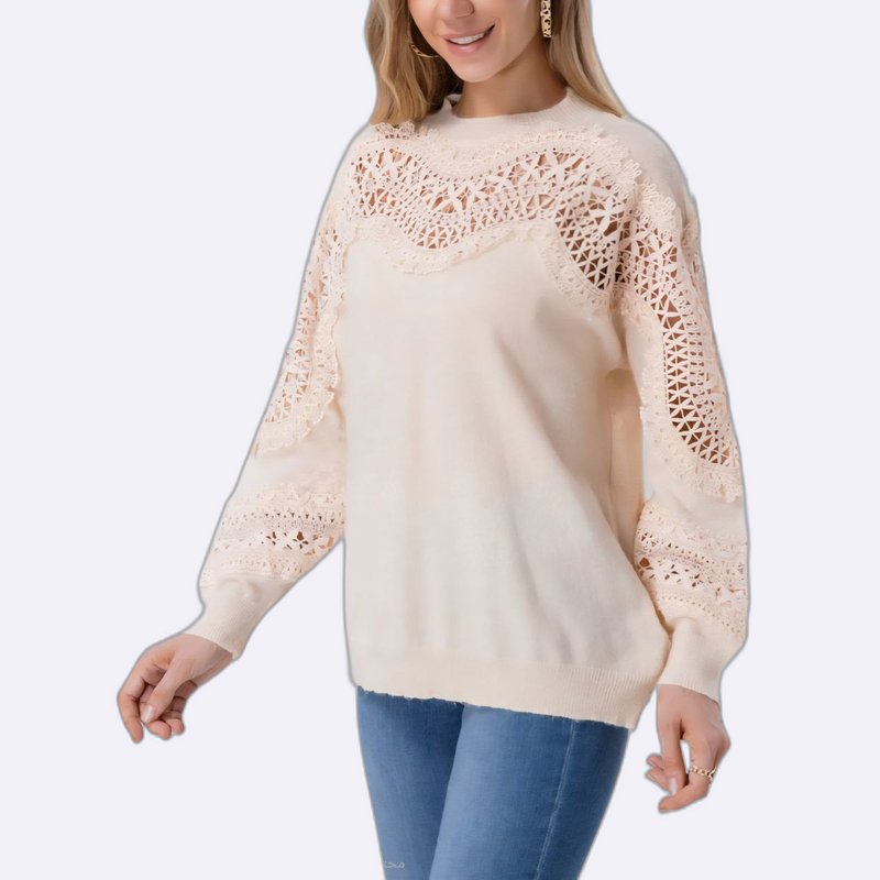 Lace Trim Knit Sweater Collection
